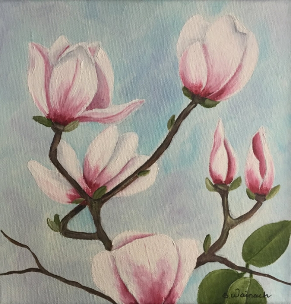 Magnolie