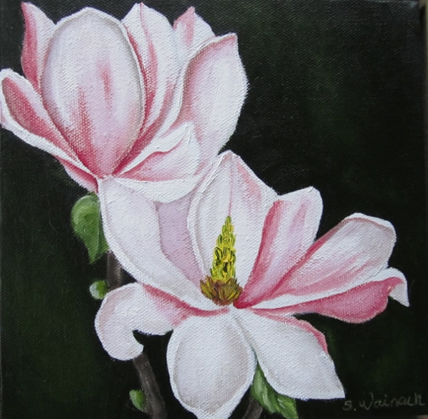 Magnolie