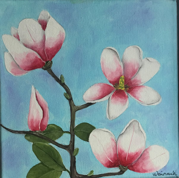 magnolie